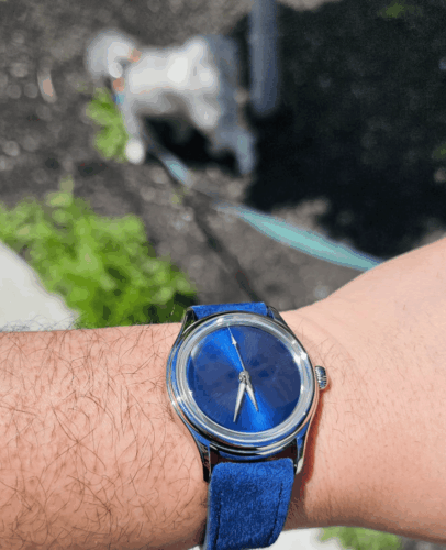 Ocean Blue Iris photo review